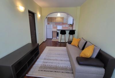 Apartament cu 2 camere semidecomandat în Bucium - 6