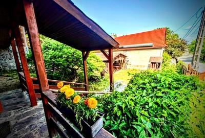 CASA DE VACANTA CU 7 CAMERE - 5