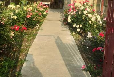 Casa de vanzare Zanoaga Jud.Prahova - 8