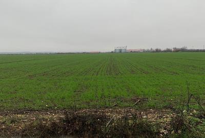 DJ200  Dascalu  Vanzare Suprafata Compacta 4,4 HA Teren Intravilan Mixt - 6