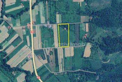 Borlovenii Noi, Teren Drept, 16000mp, la Limita Localitatii - 6