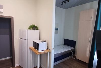 Central Apartamente 1 camera aproape de UMF si Cuza - 10
