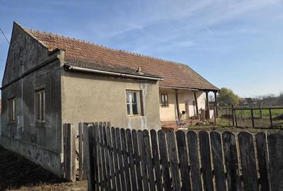 Casă cu 3 camere cu Teren 1054 Mp în Pesac - 2