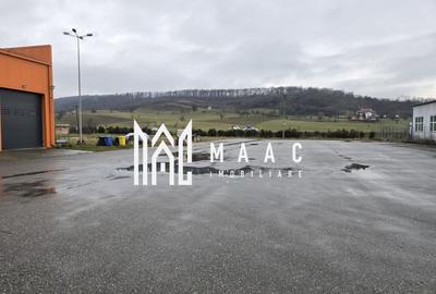 Imobil industrial I 448 mp I Teren 12.000 mp I Bradu I De Inchiriat - 2