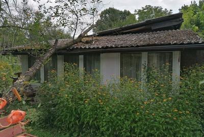 Casă cu 2 camere în Central - 1