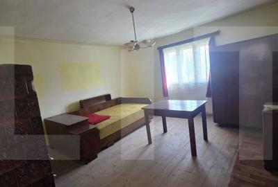 Casă cu 4 camere cu Teren 1210 Mp în Valea Crișului - 6