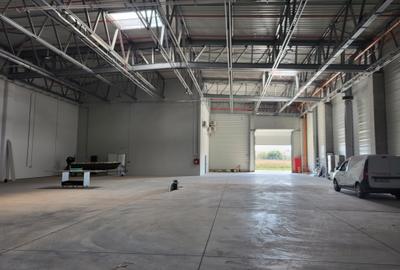 Spațiu industrial, de 1,450 mp, în Sud-Est - 5