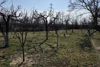 Casă cu Teren 2579 Mp în Colanu - 2
