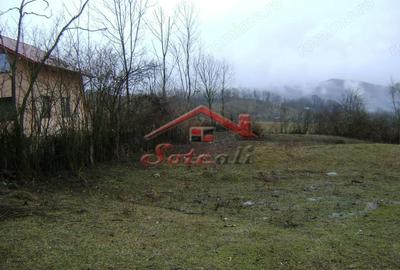 Teren de 2656 mp, în Drăgăneasa - 9