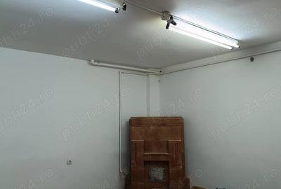 Casă cu 10 camere în Central - 11