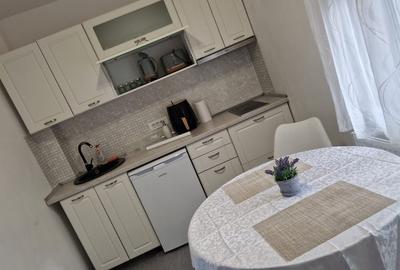 Apartament 2 camere de inchiriat zona Prima Shop - 5