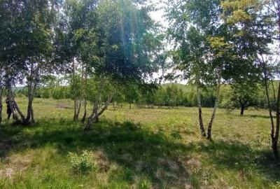 Teren de 900 mp, în Casele Micești - 5