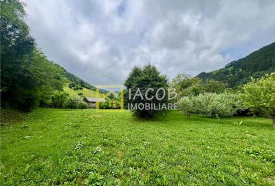 Casa la munte, comuna Bicazu Ardelean, jud. Neamt - 11