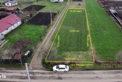 Teren de 1200 mp, în Alexandru cel Bun - 5