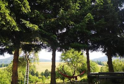 Casă cu 6 camere în Brebu - 8