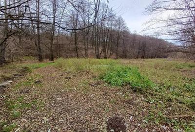 Resita, Teren Drept Intravilan, Langa Prau si Drum, 1308 Mp., 15 Euro Mp., Renk - 12