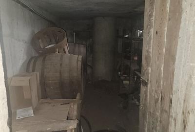 Casă cu 3 camere în Dâlga - 3