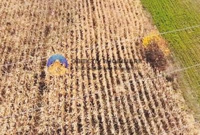 Teren intravilan de vanzare 5533 mp – Alexandru cel Bun - 9