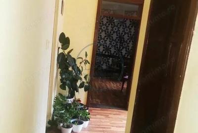 Casă cu Teren 450 Mp în Central - 3