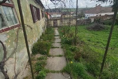 Casă cu 3 camere cu Teren 4000 Mp în Vurpăr - 3