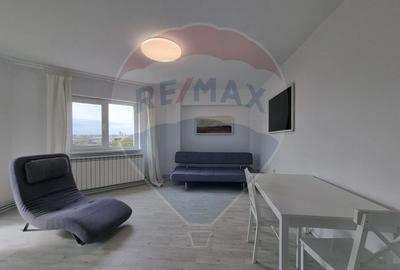 Apartament cu 2 camere de inchiriat in zona ICIL - 3