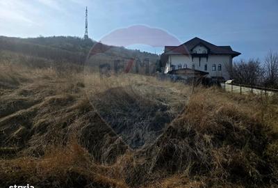 Spațiu comercial, în Central - 2