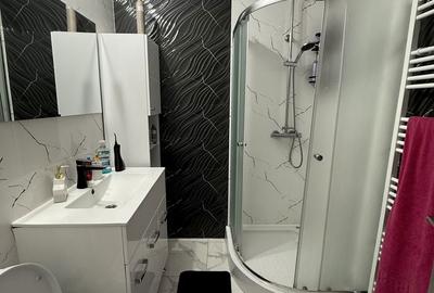 Apartament cu 2 camere decomandat în Rusu de Jos - 8