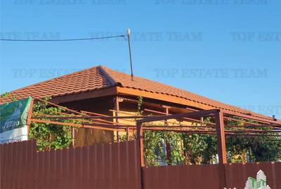 Casă cu 6 camere cu Teren 5470 Mp în Pantelimon - 1