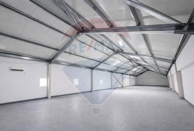 Hala 700mp, deschidere 9m, poductie, depozitare Pipera Plaza - 1