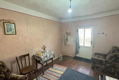Casa de vanzare in Tisa Noua, teren generos - 8