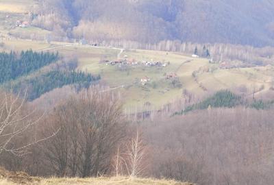 19,5 Ha  TEREN PEISAJ PANORAMIC SPECTACULOS zona turistica montana BULZ -  BIHOR - 60