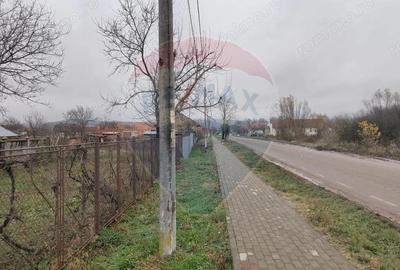 Casă cu 5 camere cu Teren 7531 Mp în Sacu - 17