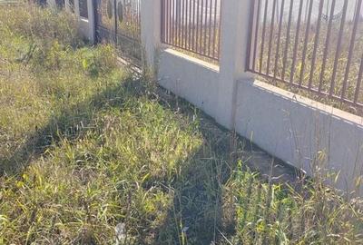 Gagu Dascalu teren ideal pentru investitie zona in dezvoltare - 2