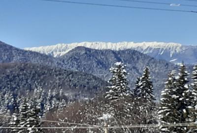 Teren Construcții intravilan de 2100 mp, în Caragiale - 5