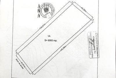 Locatie excelenta ! Silistea Snagovului, 6.083 mp. cu deschidere stradala de 44 m. - 5