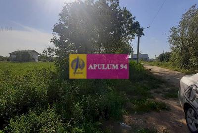 Teren Construcții intravilan de 5000 mp, în Copăceni - 11