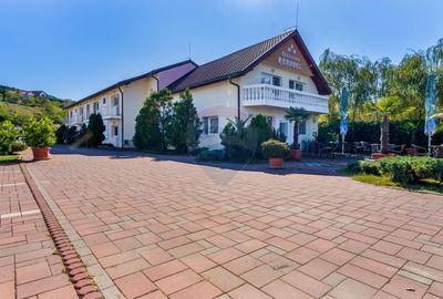 Hotel / Pensiune cu 16 camere de vanzare - 1