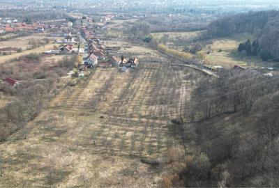 Spațiu comercial, în Caransebeș - 1