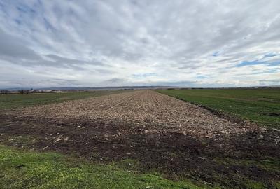 Teren Construcții intravilan de 9600 mp, în Șura Mică - 6