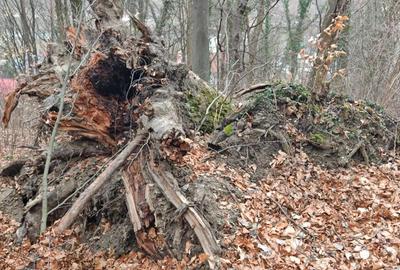 Teren de 1400 mp, în Căciulata - 2