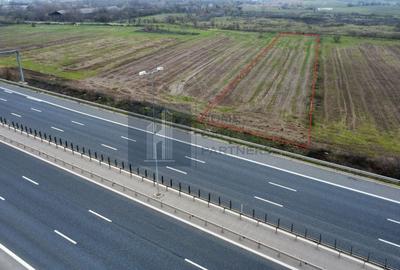 Teren 2727mp | Moara Vlasiei, Caciulati | A3 - 2