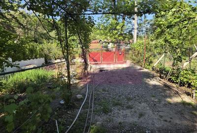 Casă individuală cu 5 camere cu Canalizare în Mislea - 25