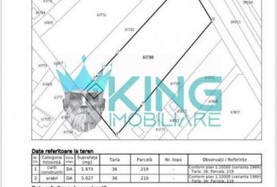 Teren Construcții intravilan de 6700 mp, în Mogoșoaia