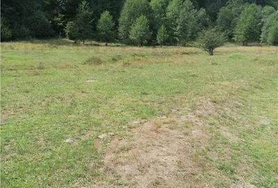 Teren intravilan - Berevoiesti - Arges - 4