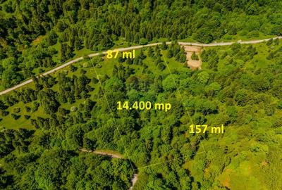 Teren extravlan 14,400mp Paraul Rece / Strada 3 brazi - 9