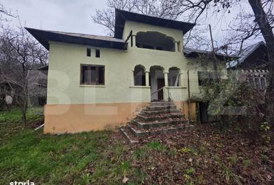 Casă cu 4 camere cu Teren 4332 Mp în Mănești - 7