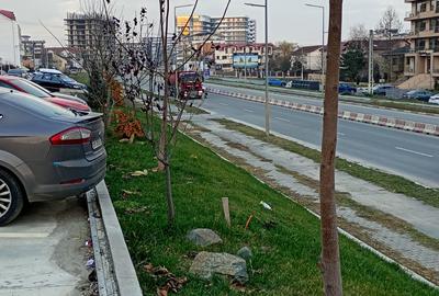 Exclusivitate -Mamaia S -Garsoniera spațioasă - 7