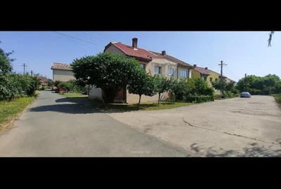 Teren de 2800 mp, în Lovrin - 12