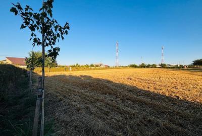 Strada Brebenei 1, Lilieci, Ialomita - 1