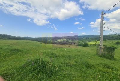 Teren agricol intravilan de 9037 mp, în Plaiul Tălii - 6